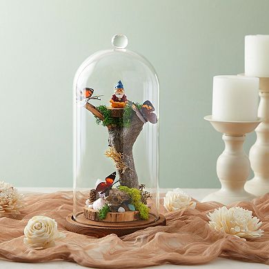 11 Inch Cloche Glass Dome with Base for Plants, Food, and Candles (5.1 x 5.1 x 10 In)