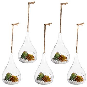 5-Pack Hanging Glass Terrarium Containers, Air Plant Holder (3.5x5 In)