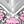 Silver Tone Pink