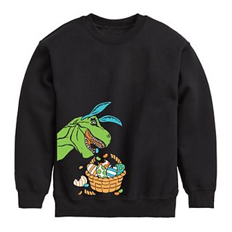Boys 8-20 Easter Dino Graphic Fleece Top