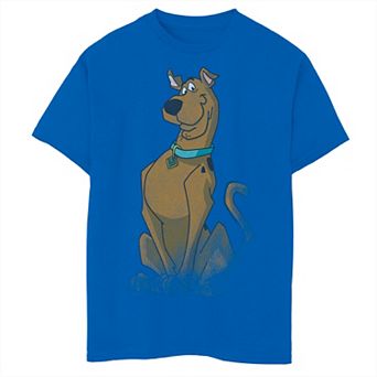 Boys 6-20 Scooby Doo Distressed Portrait Tee