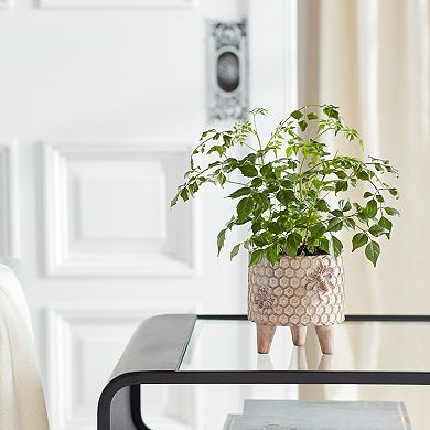 Melrose Honeycomb Planter Table Decor 2-piece Set