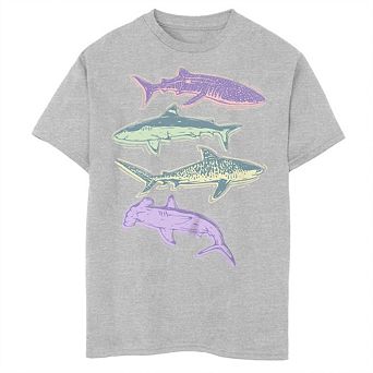 Boys 8-20 Four Different Species Of Sharks Plus Tee