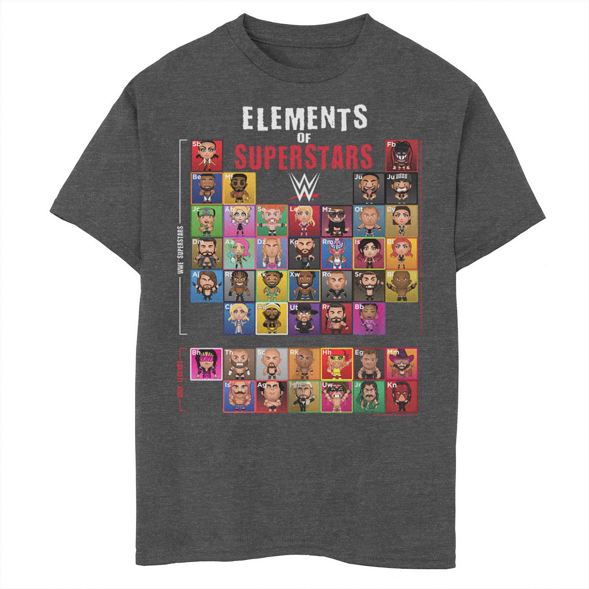 Boys 8 20 WWE Elements Of Superstars Graphic Tee