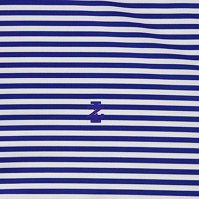 Boys 4-20 IZOD Greenie Striped Performance Polo in Regular & Husky
