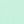 Mint Foam