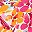 Orange Pink