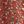 Red Brown