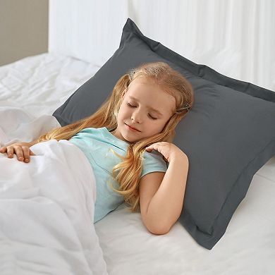 2 Packs Pillowcases Soft 1800 Microfiber with No Zipper King 20" x 36"