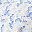 Blue White