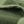 Fern Green