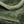 Fern Green