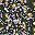 Black Purple