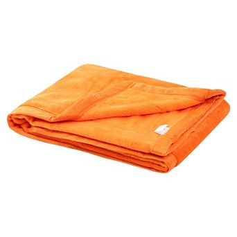 Solid Print Microfiber Bed Blanket Lightweight Plush Microfiber Soft Blanket 1 pc 30"x40"