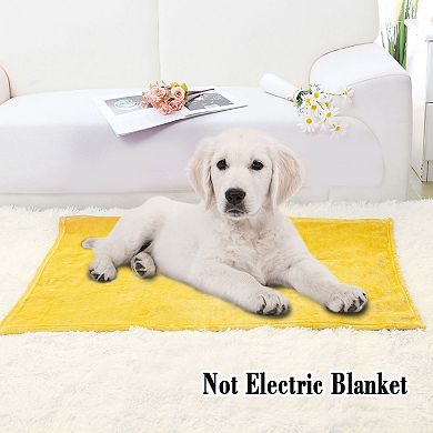 1 Pcs Home Warm Soft Microplush Fleece Solid Throw Blanket 27"x40"