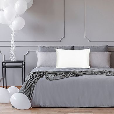 19 Momme Mulberry Silk Pillowcase for Hair and Skin Queen 20"x30"