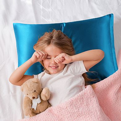 Set of 2 Luxury Silky Pillow Cover with Zipper Closure Travel 20" x 14"