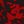 Red Paint Splatter