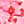 Pink Multi