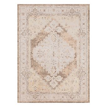 Nourison Astra Vintage Persian Washable Indoor Rug
