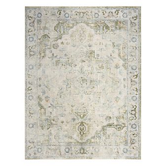 Nourison Astra Vintage Medallion Washable Indoor Rug