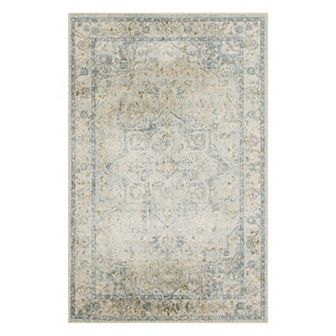 Nourison Astra Vintage Medallion Washable Indoor Rug
