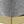 Gold Light Gray