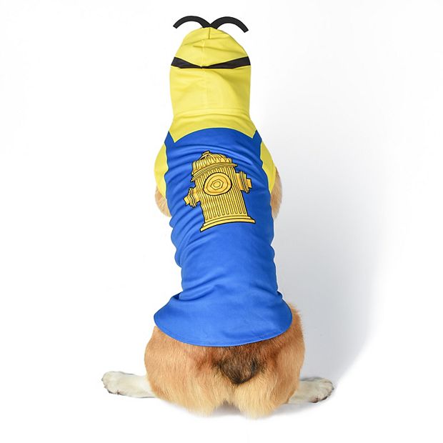 Dogs dressed outlet as minions