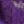 Violet Purple