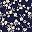 White Floral