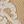 Apricot White