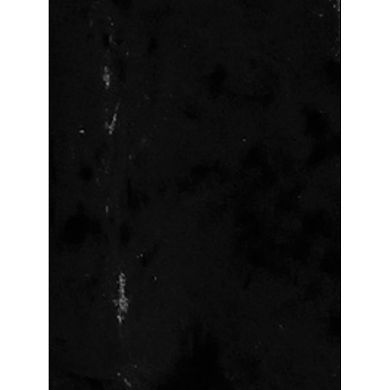 Casual Velvet Top for Women's Solid Round Neck Short Sleeve T-Shirt