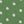 Dusty Green