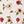 Beige Red