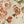 Beige Pink