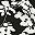 Black White