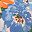 Orange Blue