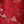Deep Red
