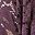 Gray Purple