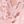 Light Pinks