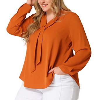 Women's Plus Size Tie V Neck Long Sleeve Chiffon Office Shirt