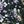 Black Purple