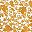 Amber Pressed Floral