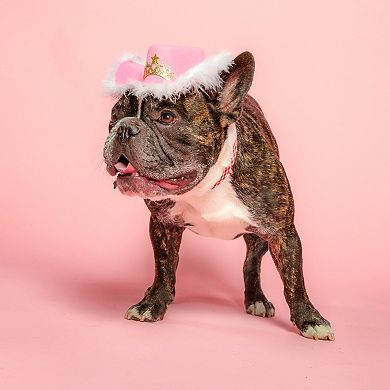 Doggy Parton Pink Cowgirl Hat with Tiara Pet Costume
