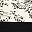 Egret Black Toile