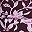 Tropic Floral Wine