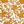 Amber Pressed Floral