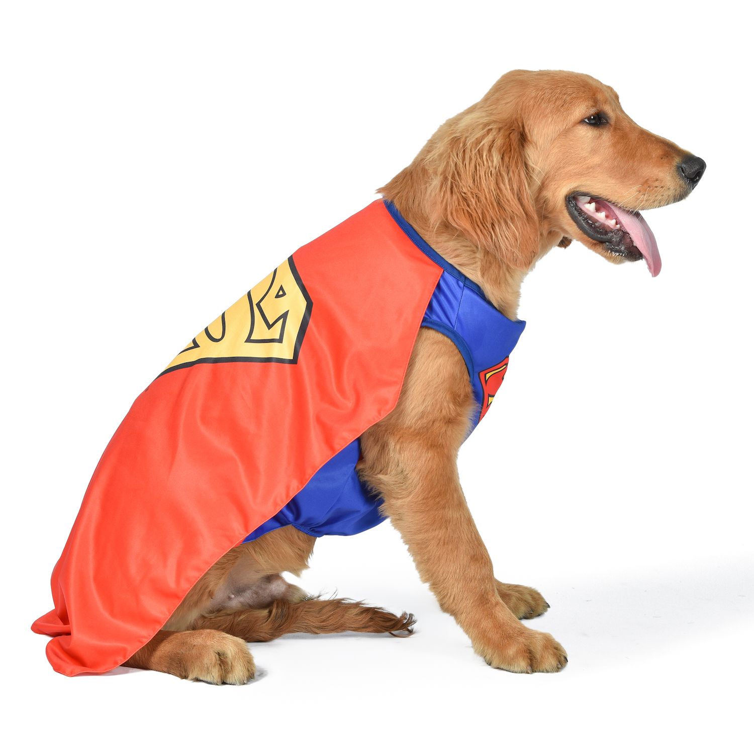 Superman Vestiti Di Carnevale Per I Cani Costume Da Supergirl Per Cani