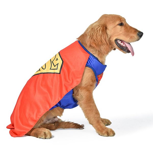 Halloween DC Comics Superman Dog Costume - S
