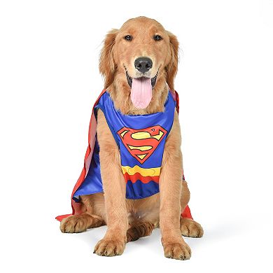 DC Comics: Superman Dog Costume